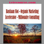 Bastiaan Slot - Organic Marketing Accelerator - Millionaire Consulting digital