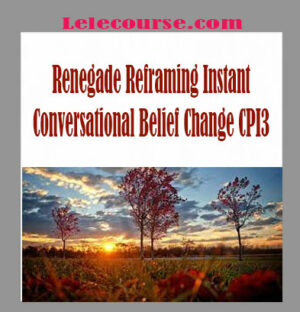 David Snyder - Renegade Reframing Instant Conversational Belief Change CPI3 digital