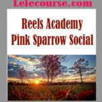 Reels Academy - Pink Sparrow Social