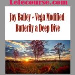 Vega Modified Butterfly a Deep Dive