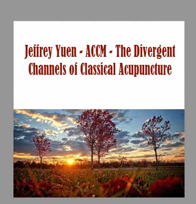 Jeffrey Yuen - ACCM - The Divergent Channels of Classical Acupuncture