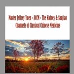 Master Jeffrey Yuen - ACCM - The Kidney & Sanjiao Channels of Classical Chinese Medicine