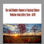 The Gall Bladder Channel of Classical Chinese Medicine from Jeffrey Yuen - ACCM