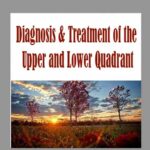 Diagnosis & Treatment of the Upper and Lower Quadrant