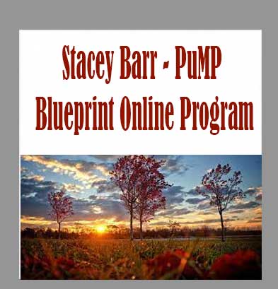 PuMP Blueprint Online Program