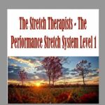 The Stretch Therapists - The Performance Stretch System Level 1