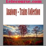 Anatomy - Trains Collection