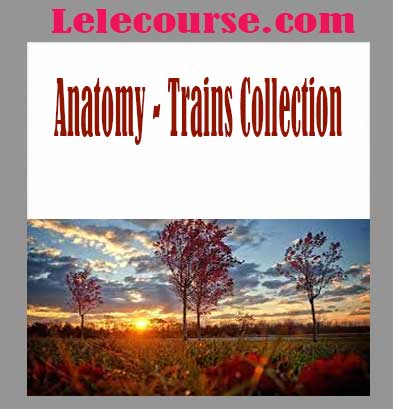 Anatomy - Trains Collection