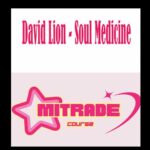 David Lion - Soul Medicine