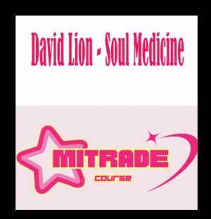 David Lion - Soul Medicine