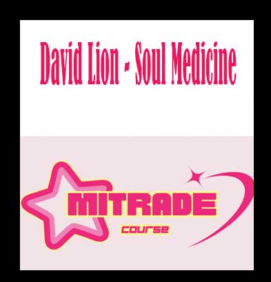 David Lion - Soul Medicine