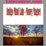 Indigo Mind Labs - Money Magnet
