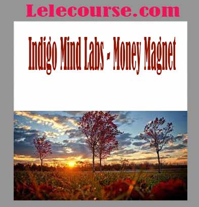 Indigo Mind Labs - Money Magnet